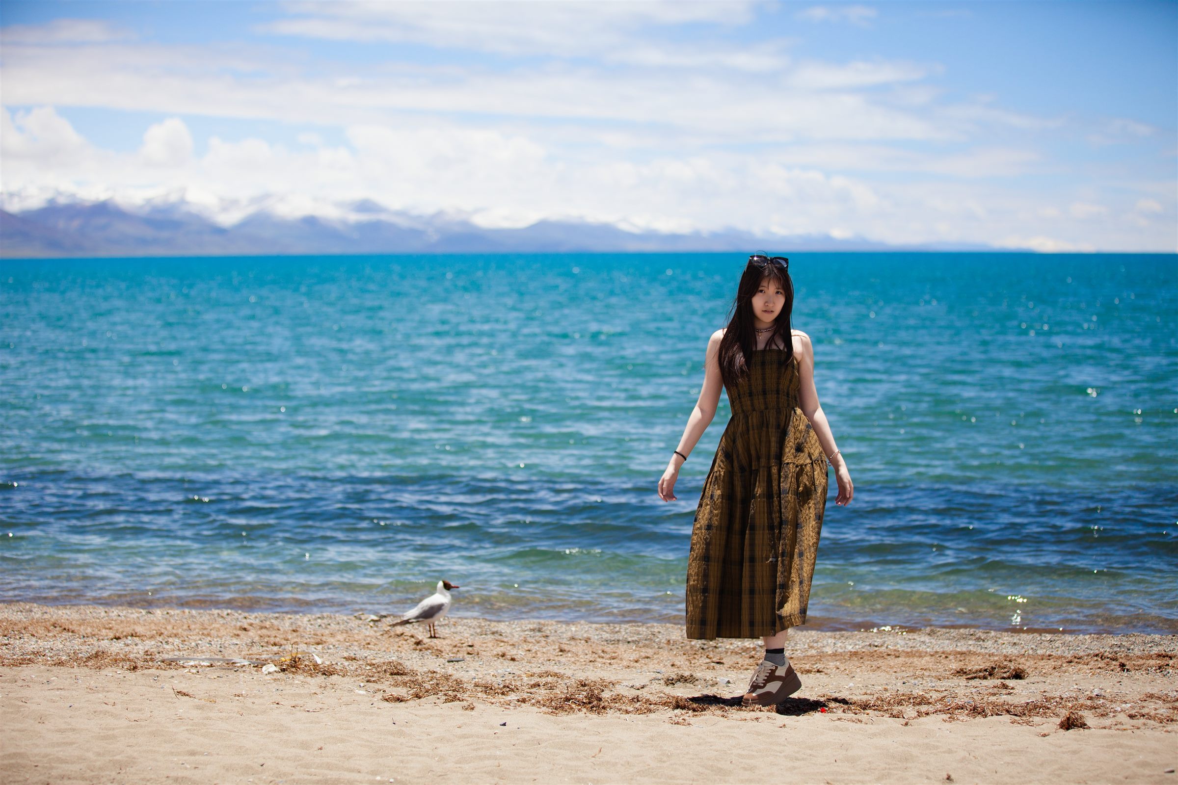 Tibet golden mountain light