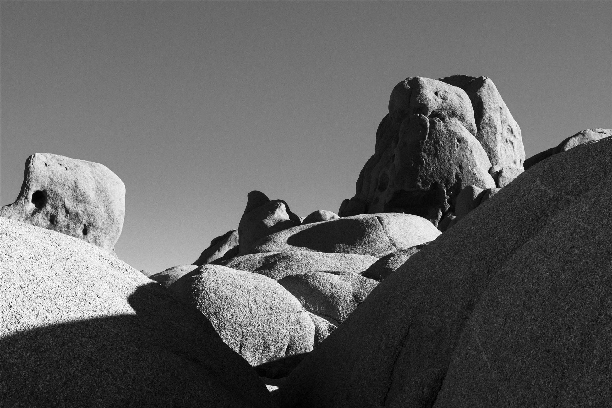 Joshua Tree