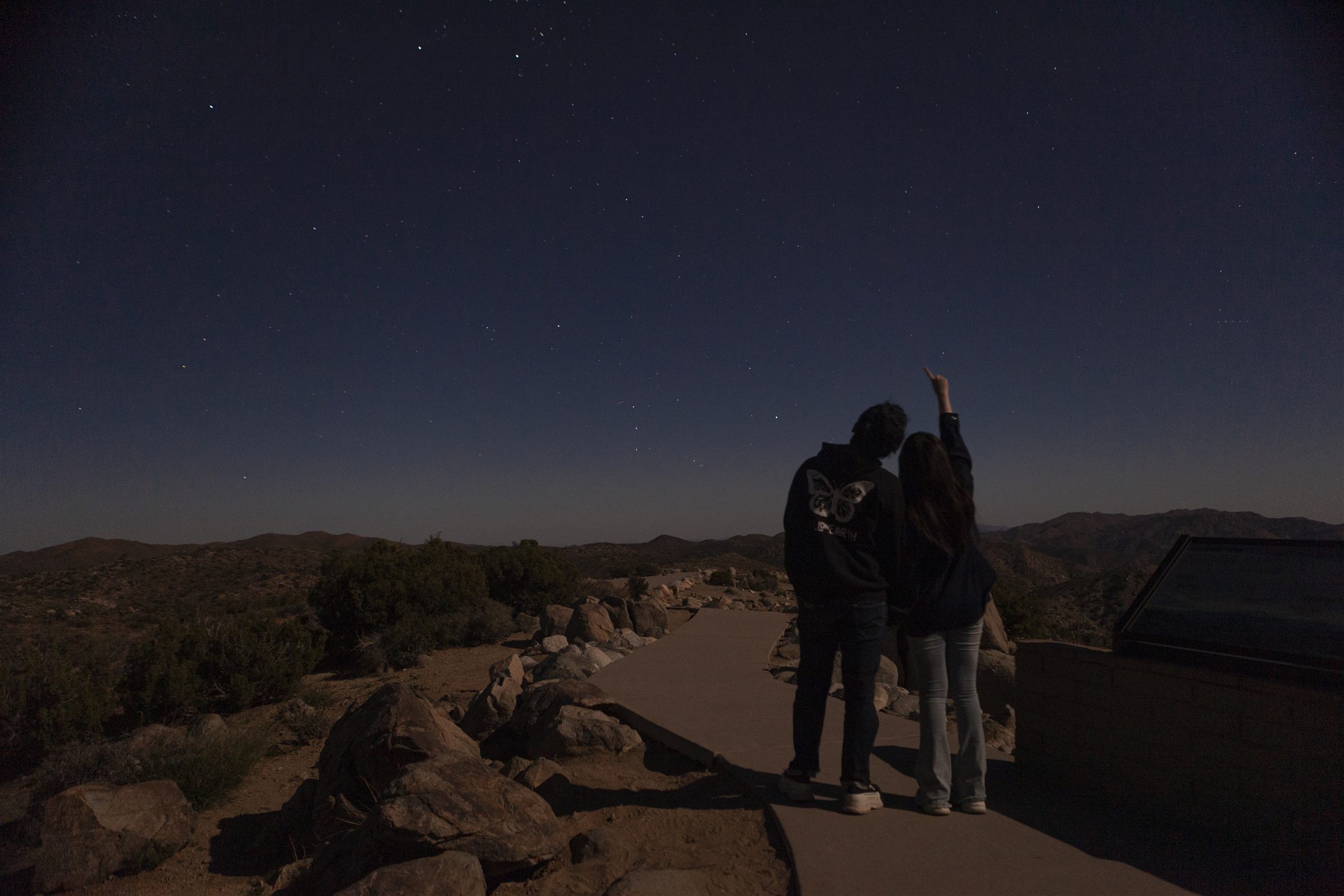 Joshua Tree photo 2