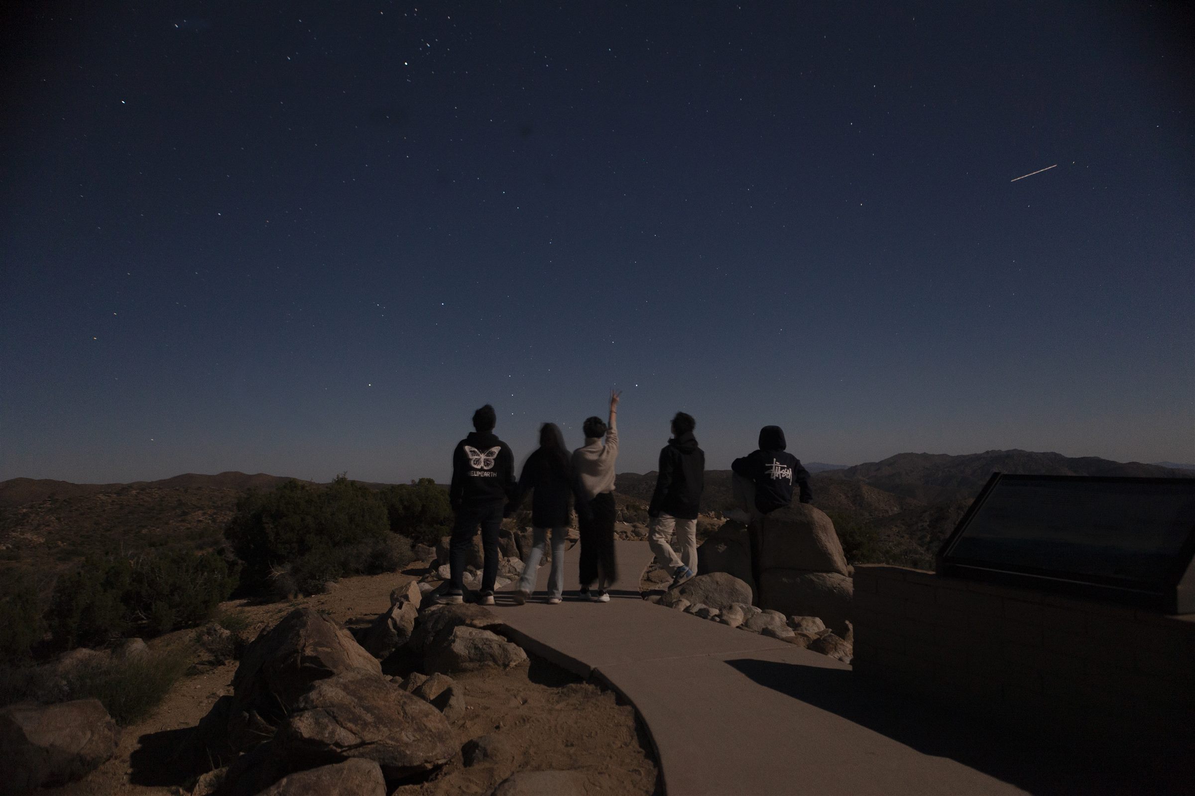 Joshua Tree photo 3