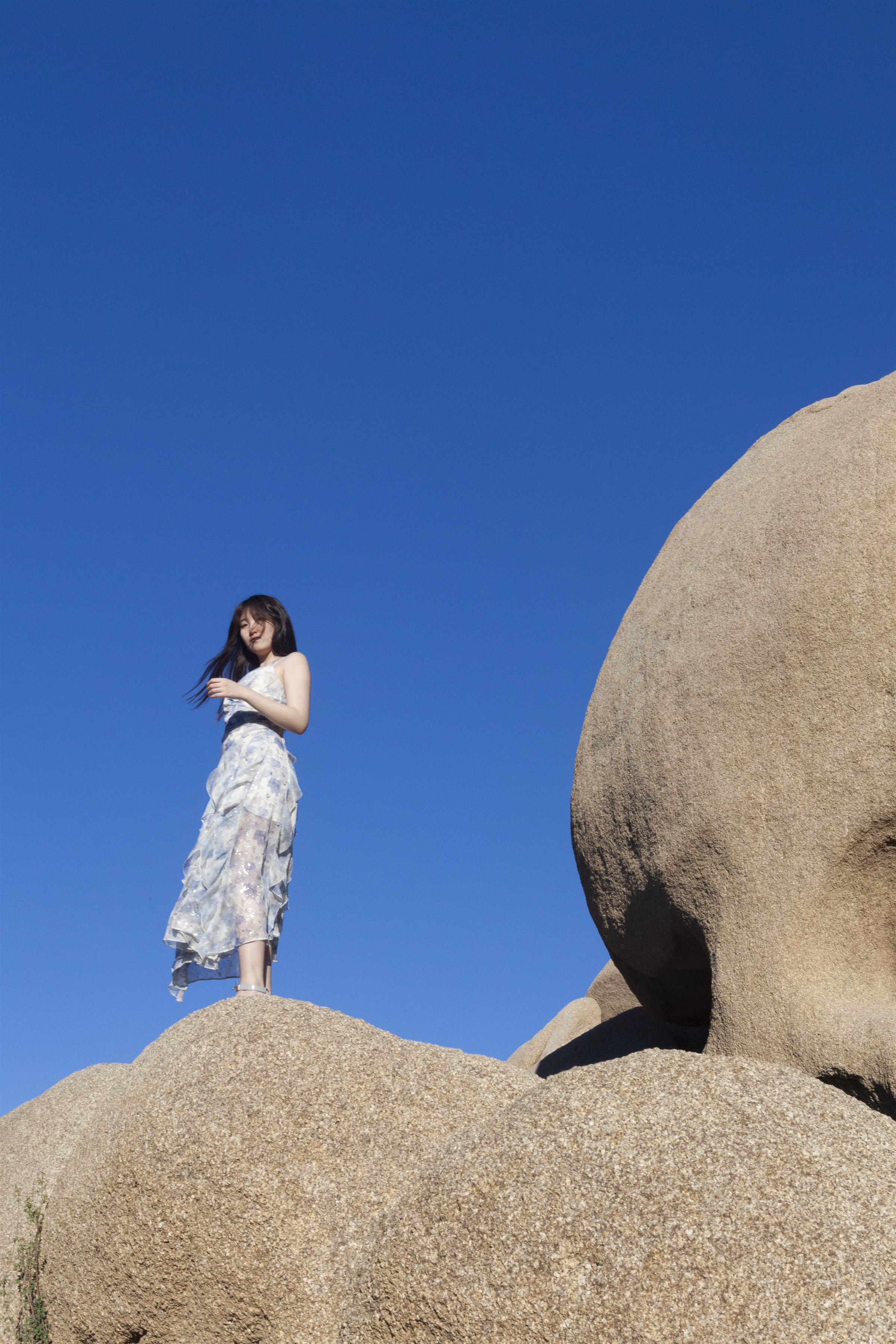 Joshua Tree photo 4