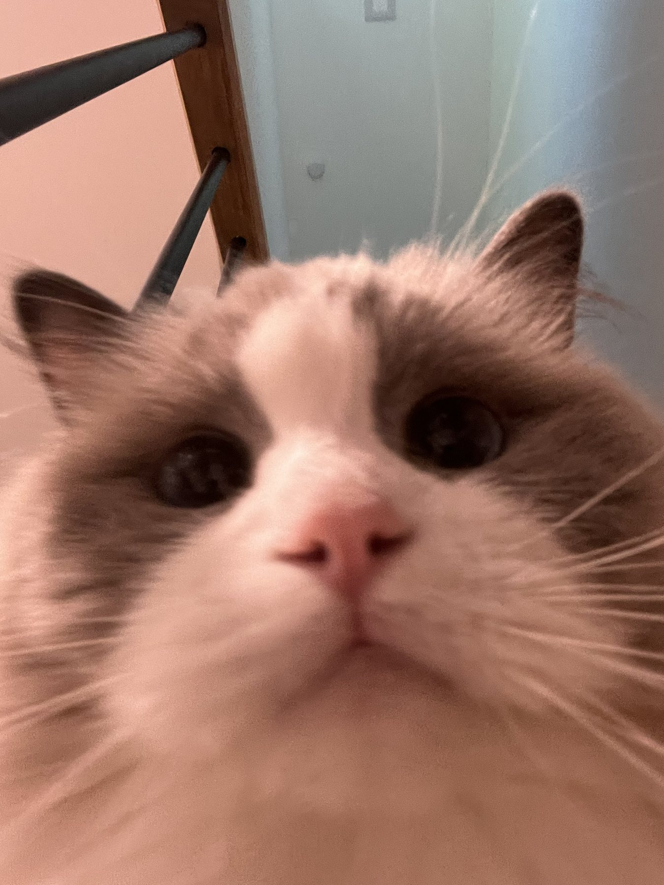 A close-up selfie-style photo of Pengy