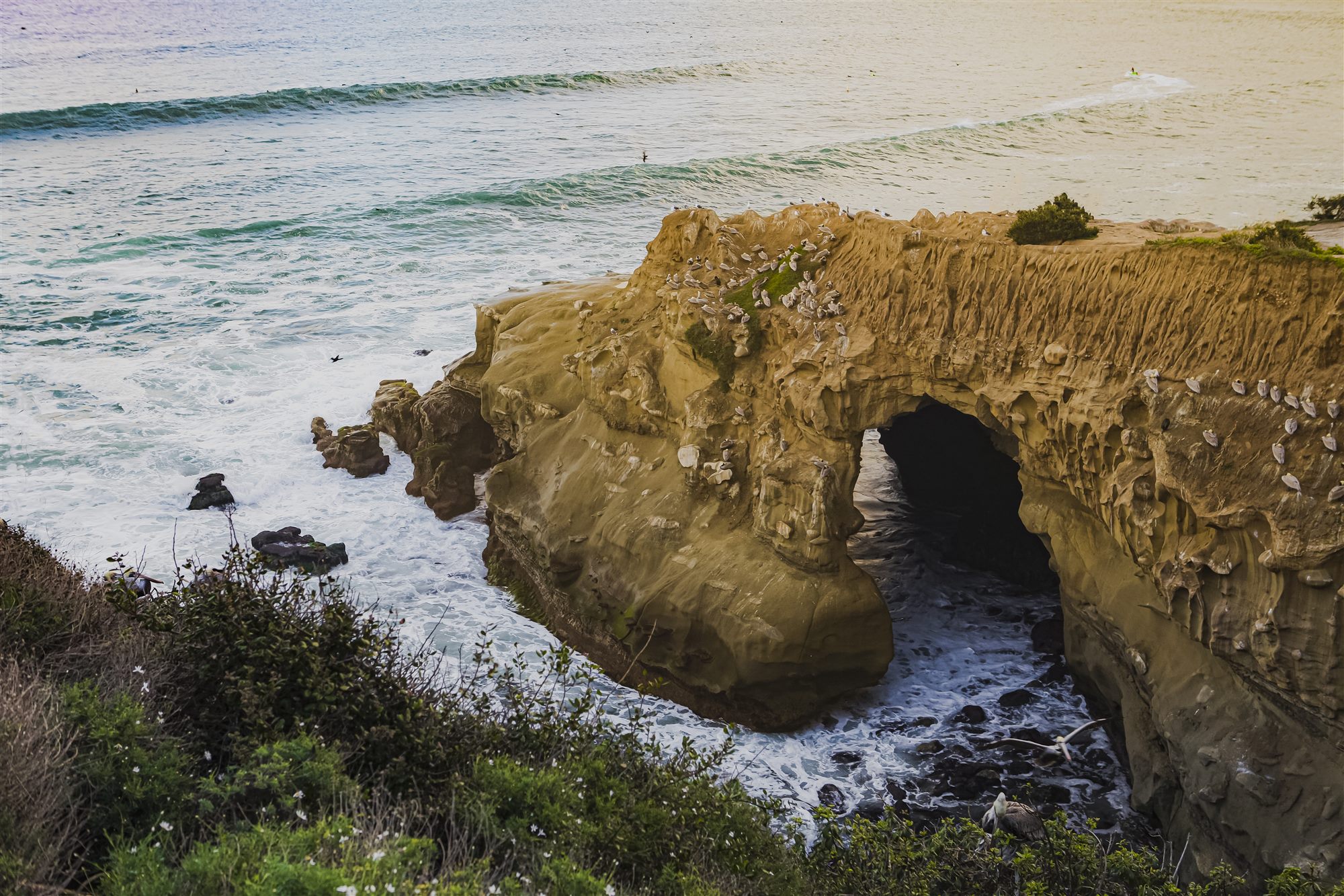 San Diego