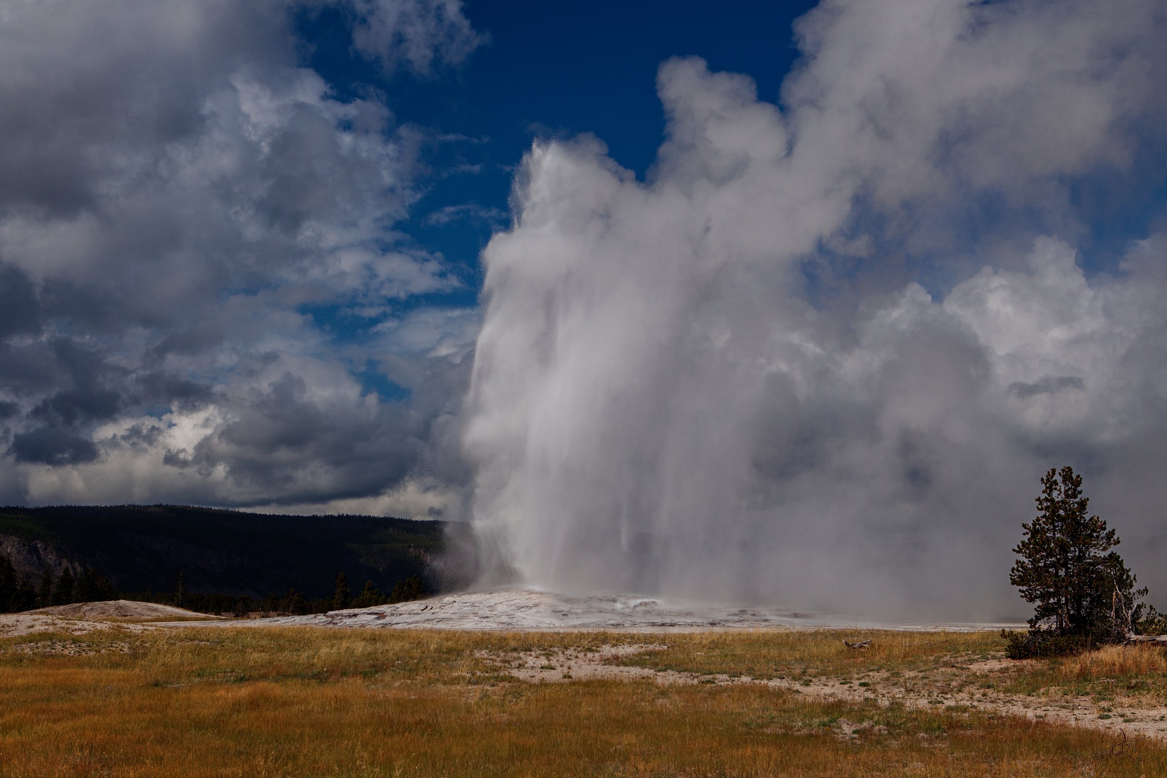 Old Faithful erupting in Yellowstone