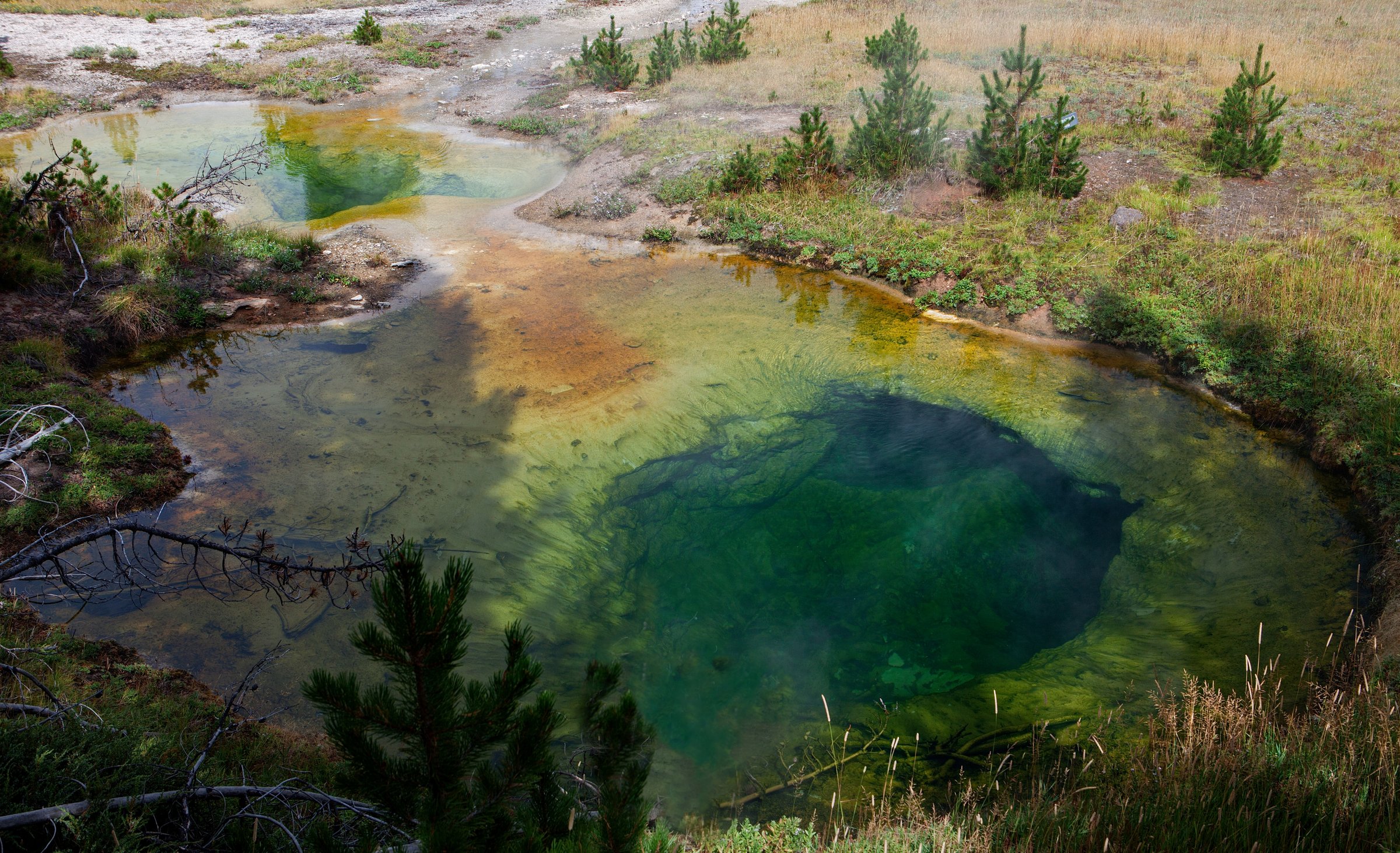 Colorful Yellowstone hot spring