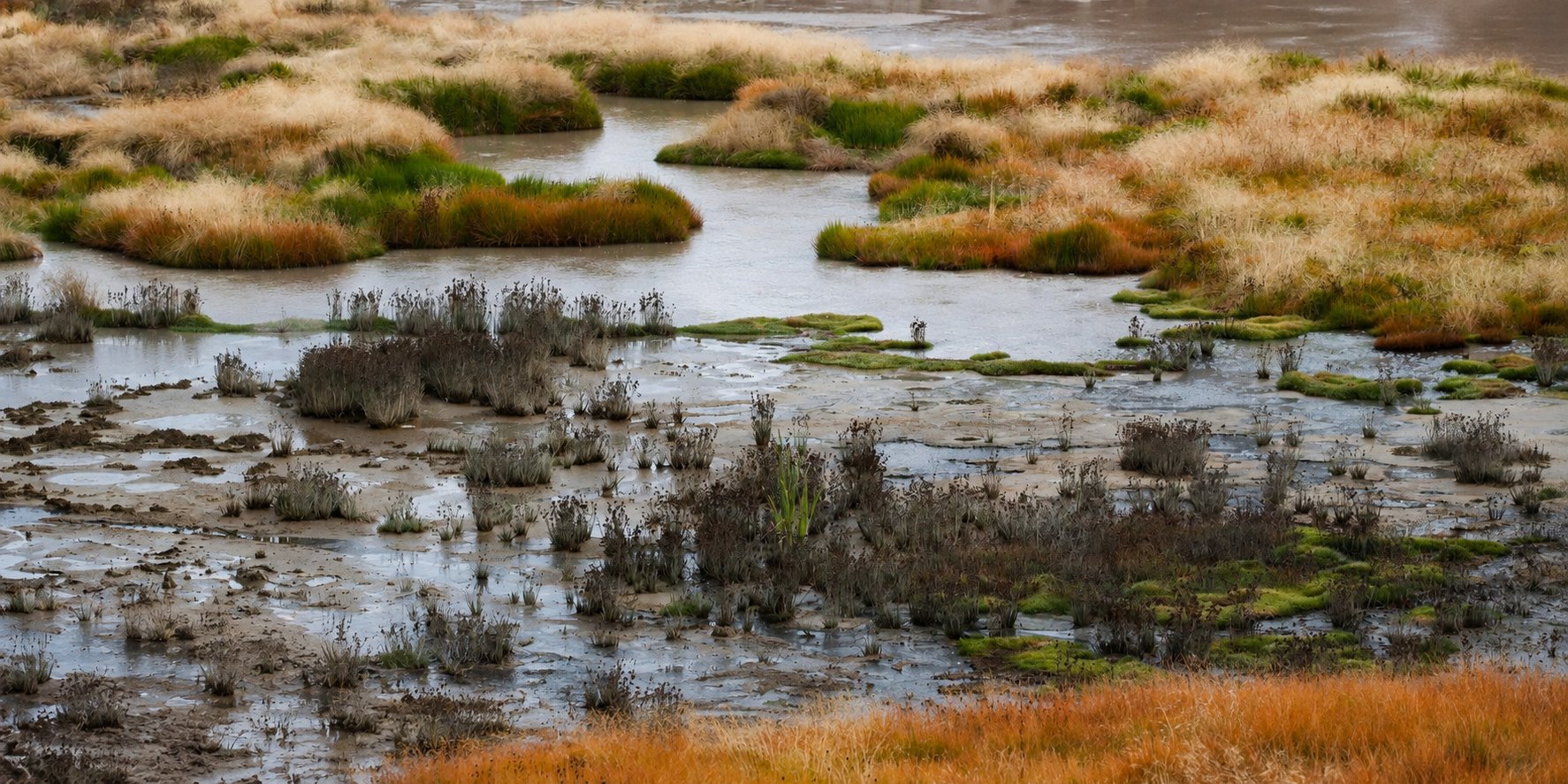 Yellowstone thermal basin