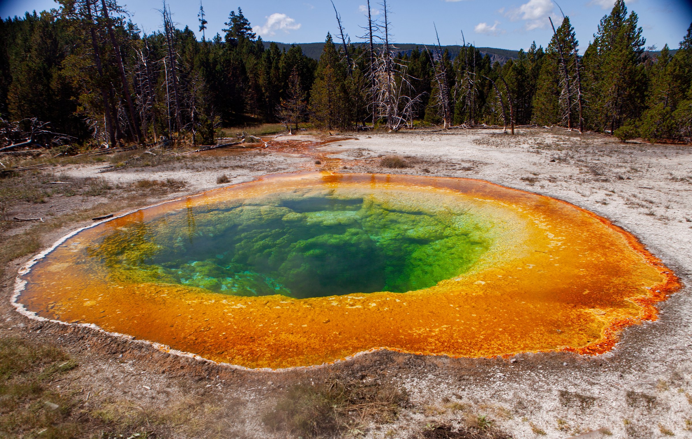 Morning Glory Pool in Yellowstone